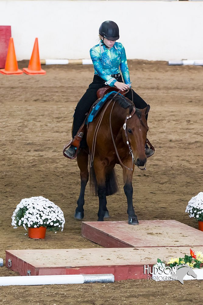 4H-Sate-102613-0585.jpg