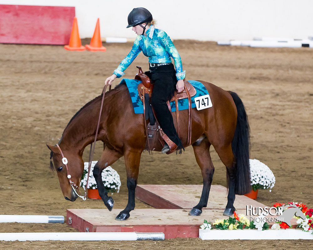 4H-Sate-102613-0588.jpg