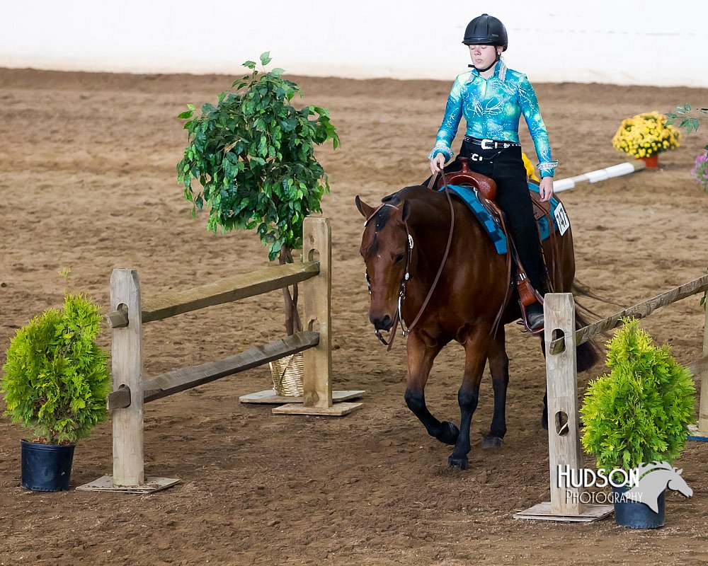 4H-Sate-102613-0591.jpg