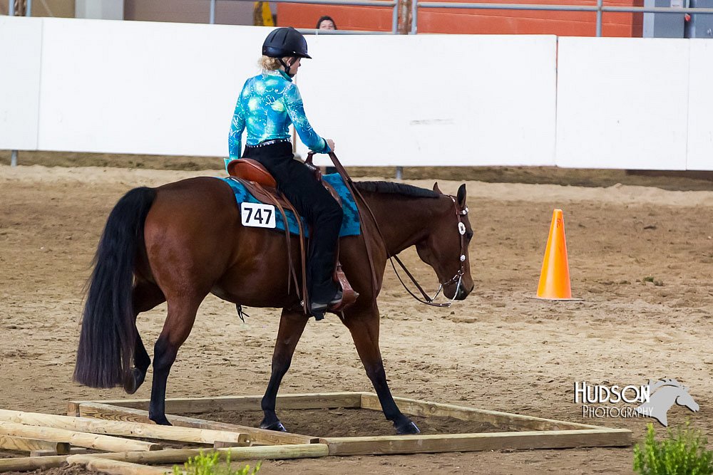 4H-Sate-102613-0600.jpg