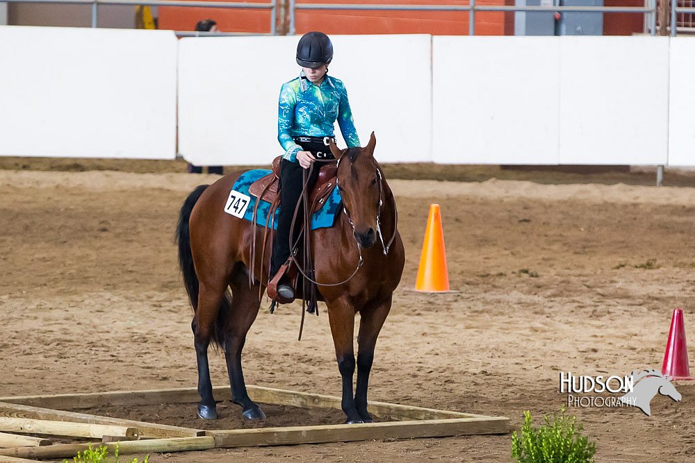 4H-Sate-102613-0601.jpg