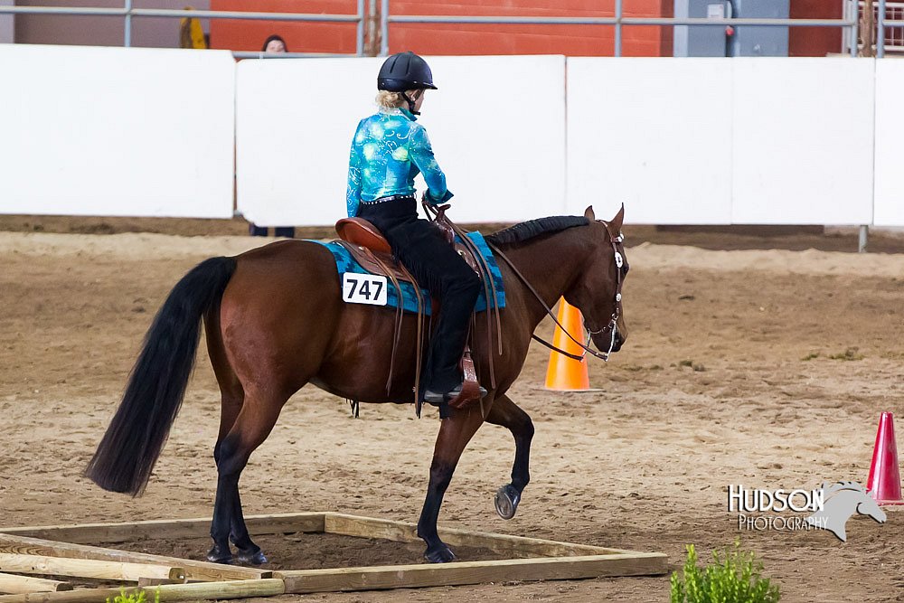 4H-Sate-102613-0602.jpg