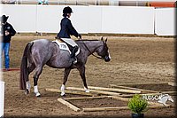 4H-Sate-102613-0520.jpg