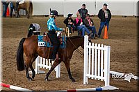4H-Sate-102613-0575.jpg