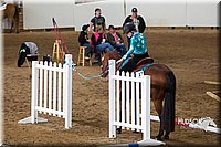 4H-Sate-102613-0576.jpg