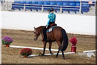 4H-Sate-102613-0579.jpg