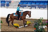 4H-Sate-102613-0581.jpg