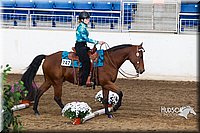 4H-Sate-102613-0582.jpg
