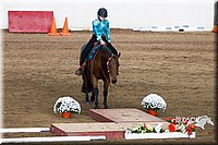 4H-Sate-102613-0584.jpg