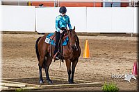 4H-Sate-102613-0601.jpg