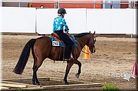 4H-Sate-102613-0602.jpg