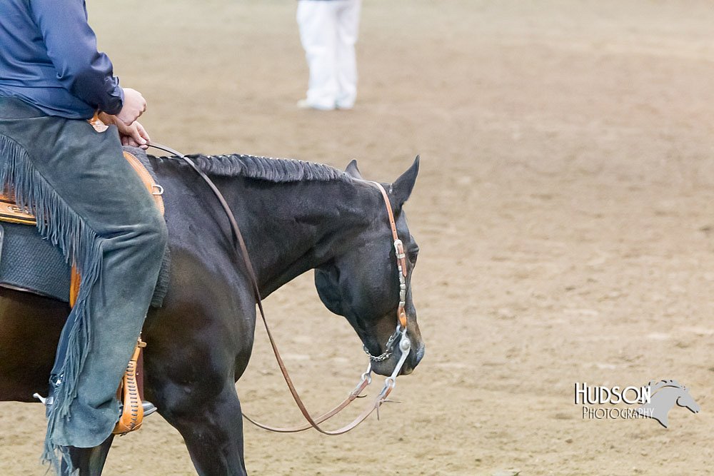 4H-Sate-102713-1153.jpg