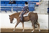 4H-Sate-102713-1169.jpg