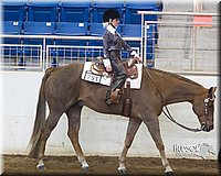 4H-Sate-102713-1176.jpg