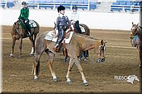 4H-Sate-102713-1190.jpg