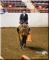 Hunt-Seat-Equitation-English