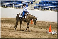 Horsemanship-Western