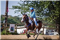 LCF13-3559.jpg