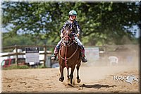 LCF13-3648.jpg