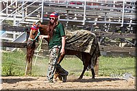 LCF13-3937.jpg