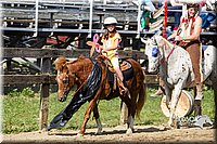 LCF13-3943.jpg