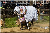 LCF13-3951.jpg