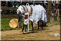 LCF13-3952.jpg