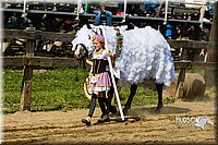 LCF13-3953.jpg