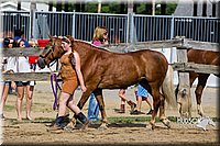 LCF13-3961.jpg