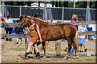LCF13-3962.jpg