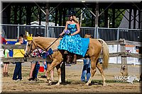 LCF13-3964.jpg