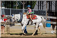 LCF13-3972.jpg