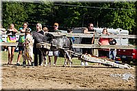LCF13-3976.jpg