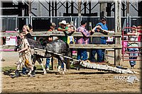 LCF13-3982.jpg