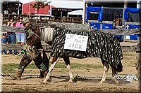 LCF13-3985.jpg