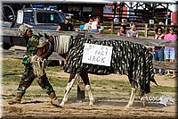 LCF13-3986.jpg