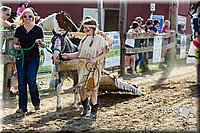 LCF13-4002.jpg