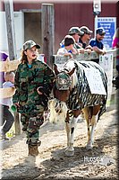 LCF13-4006.jpg