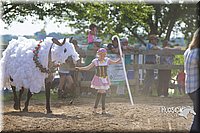 LCF13-4027.jpg