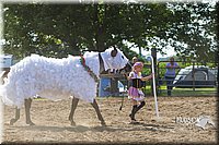 LCF13-4029.jpg