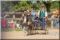 LCF13-3347.jpg