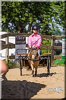 LCF13-3348.jpg