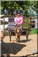 LCF13-3349.jpg