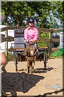 LCF13-3350.jpg