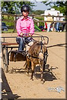 LCF13-3352.jpg