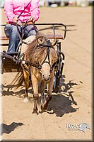 LCF13-3353.jpg