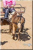 LCF13-3354.jpg