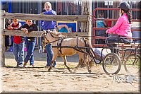 LCF13-3355.jpg