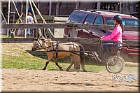LCF13-3359.jpg