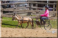 LCF13-3361.jpg